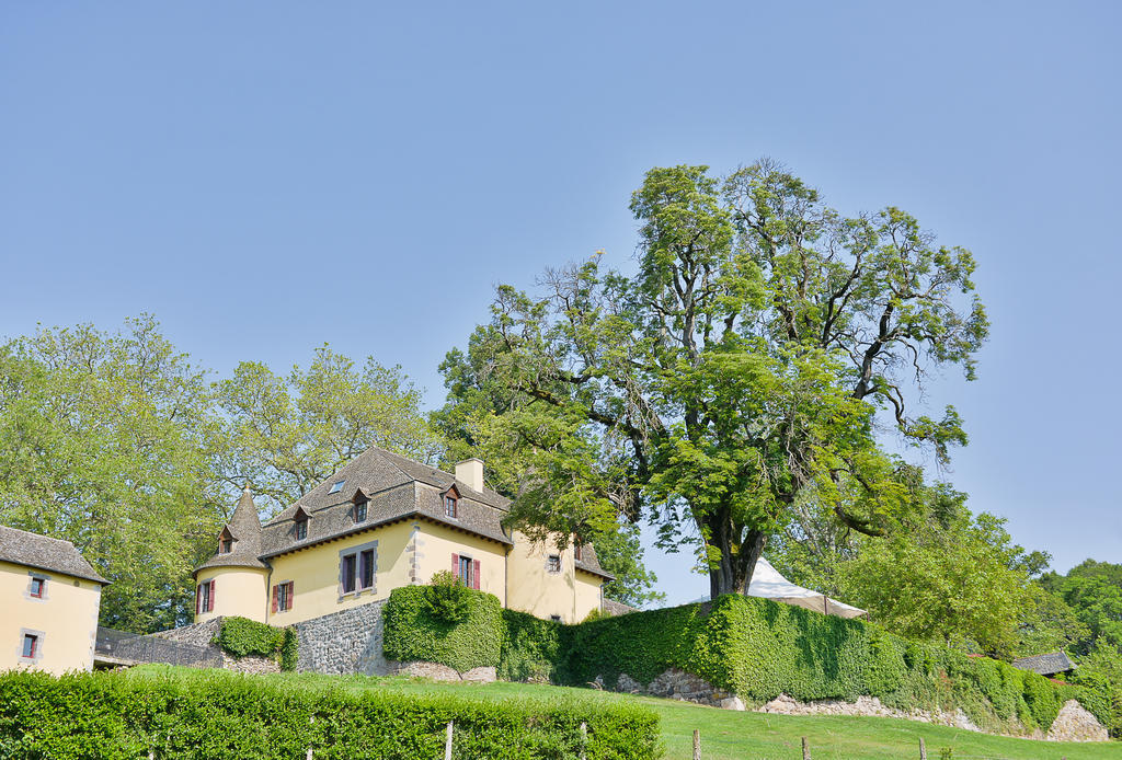 Chateau De Salles Vézac Zewnętrze zdjęcie
